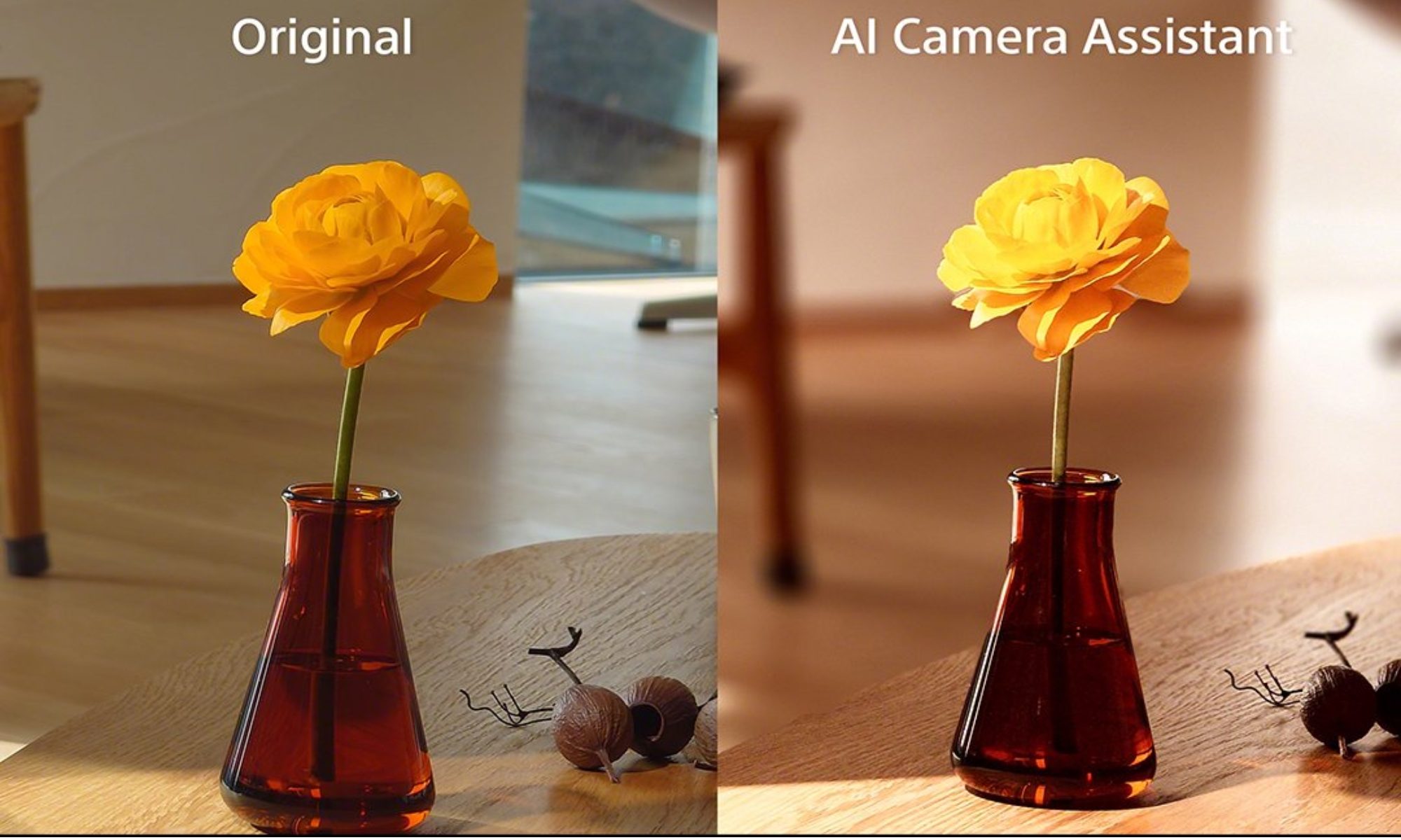 Pot, Poterie, Vase