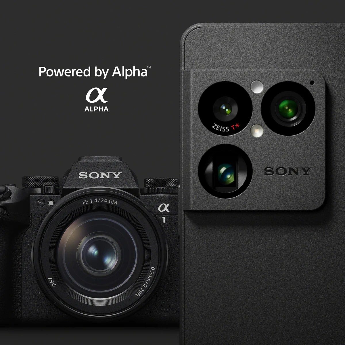 Sony Xperia 1 VIII est livré avec l'optimisation de la caméra Alpha