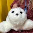 Des robots phoques pelucheux sont utilisés pour les soins de santé mentale dans un hôpital britannique