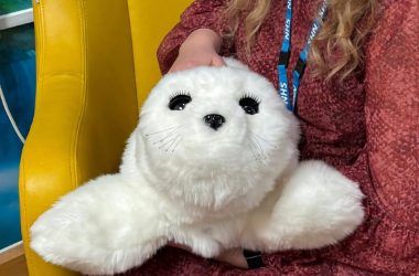Des robots phoques pelucheux sont utilisés pour les soins de santé mentale dans un hôpital britannique
