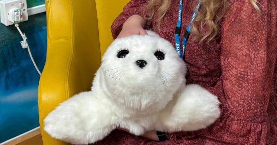 Des robots phoques pelucheux sont utilisés pour les soins de santé mentale dans un hôpital britannique