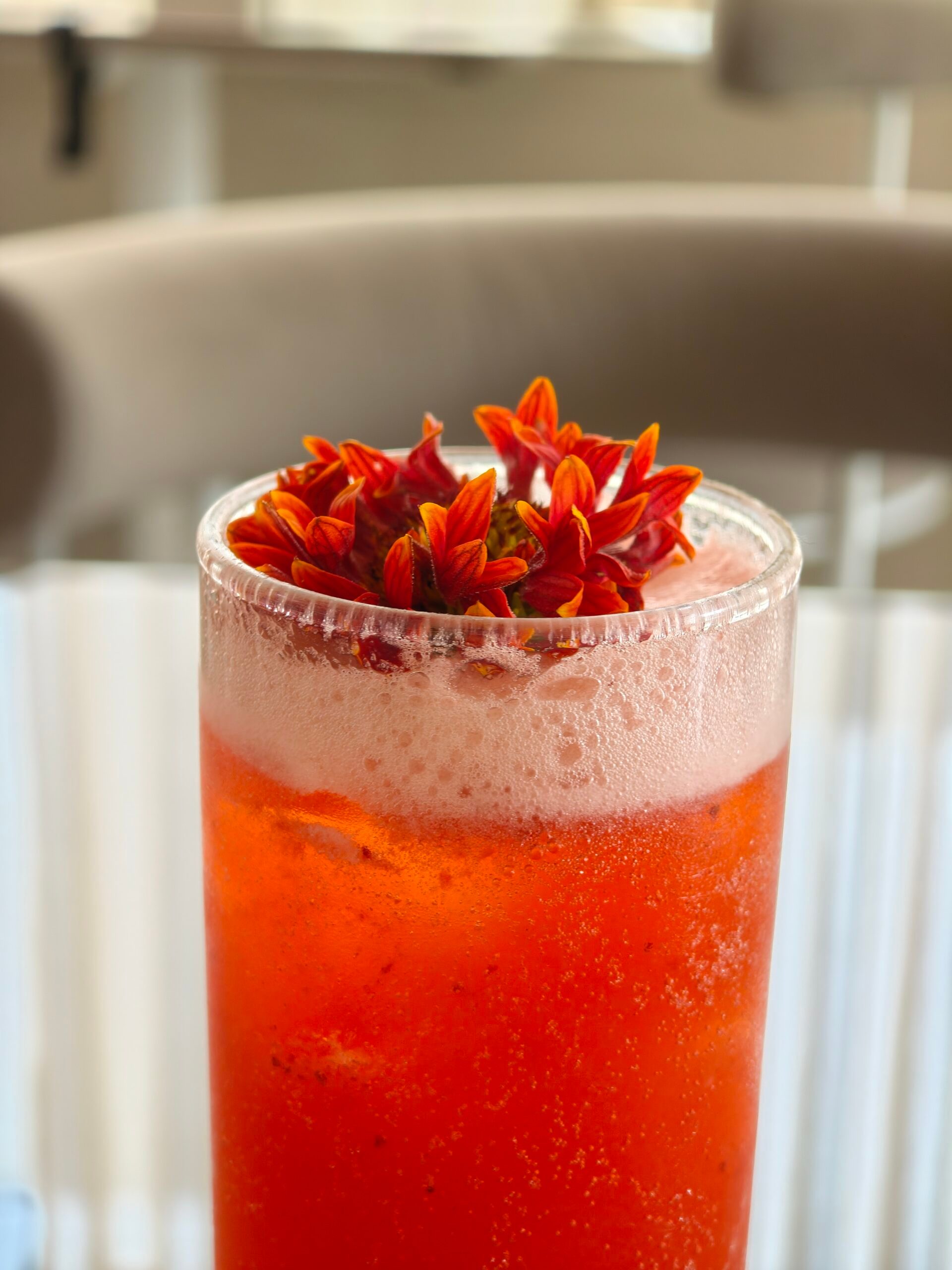 Alcool, Boisson, Cocktail