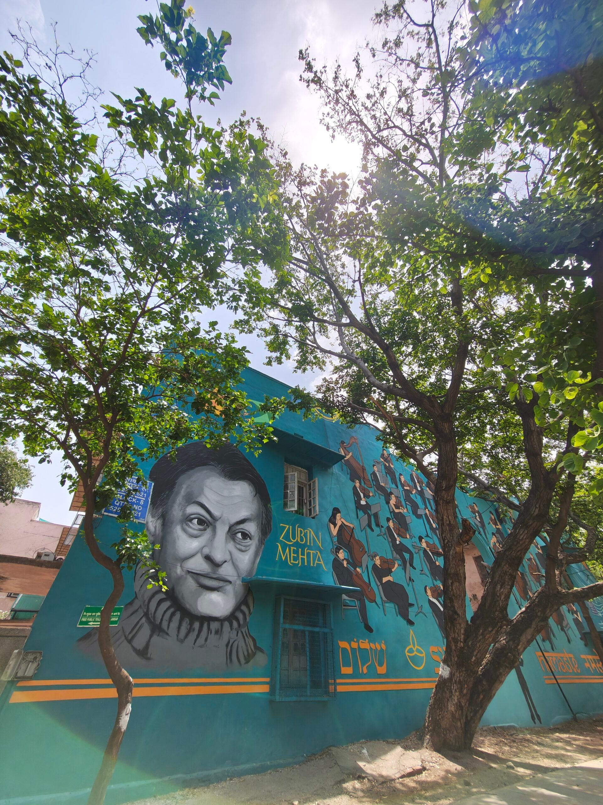 Plante, Arbre, Visage