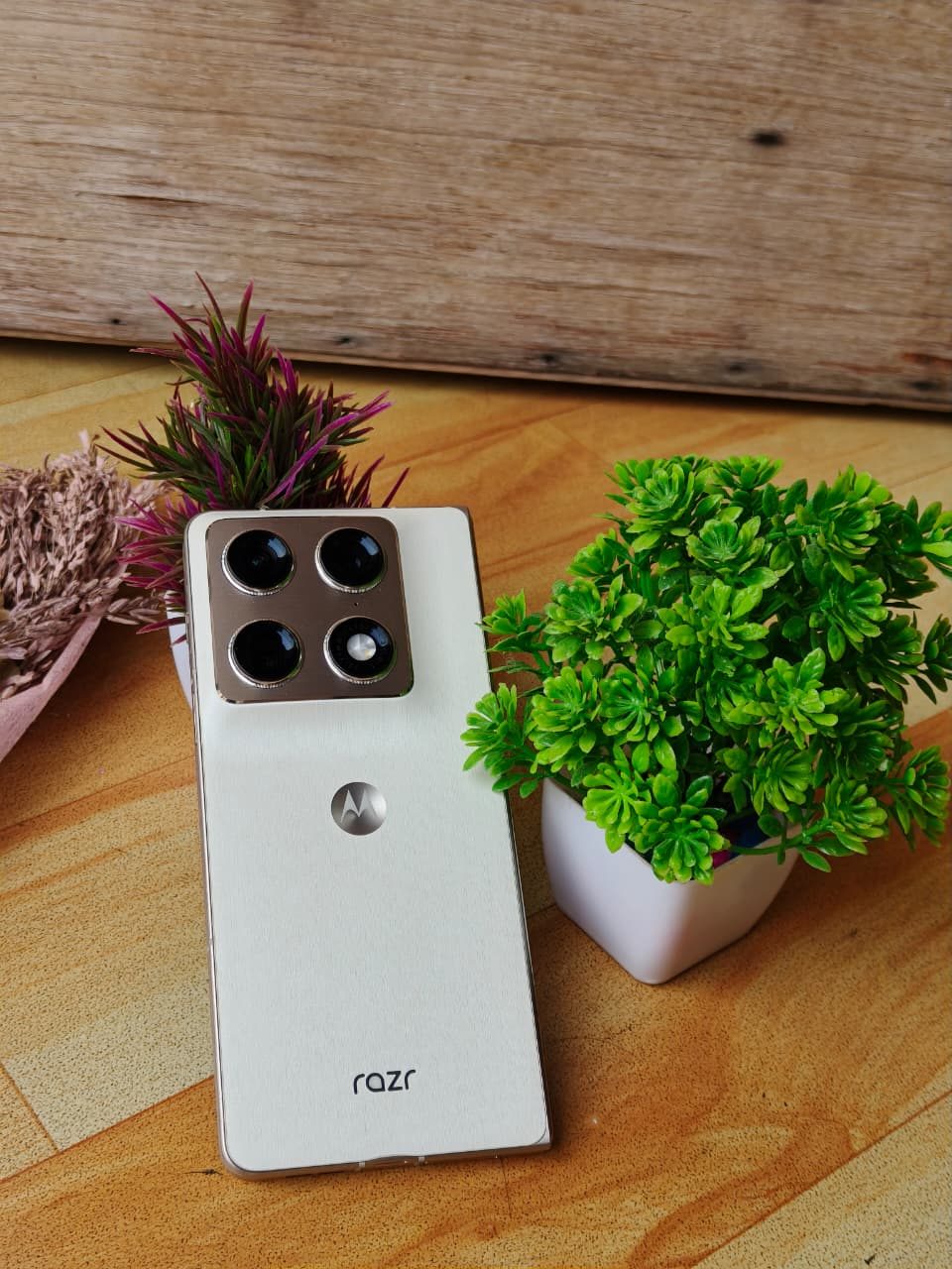 Motorola Razr Fold à côté d'une petite plante