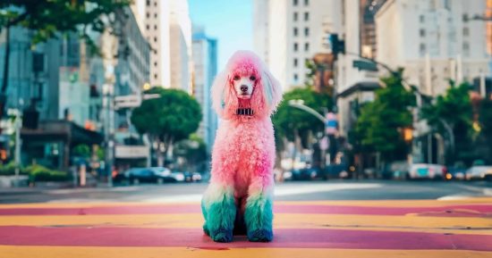 La recherche Google vous dira désormais si une image est générée par l'IA et en parlera en détail