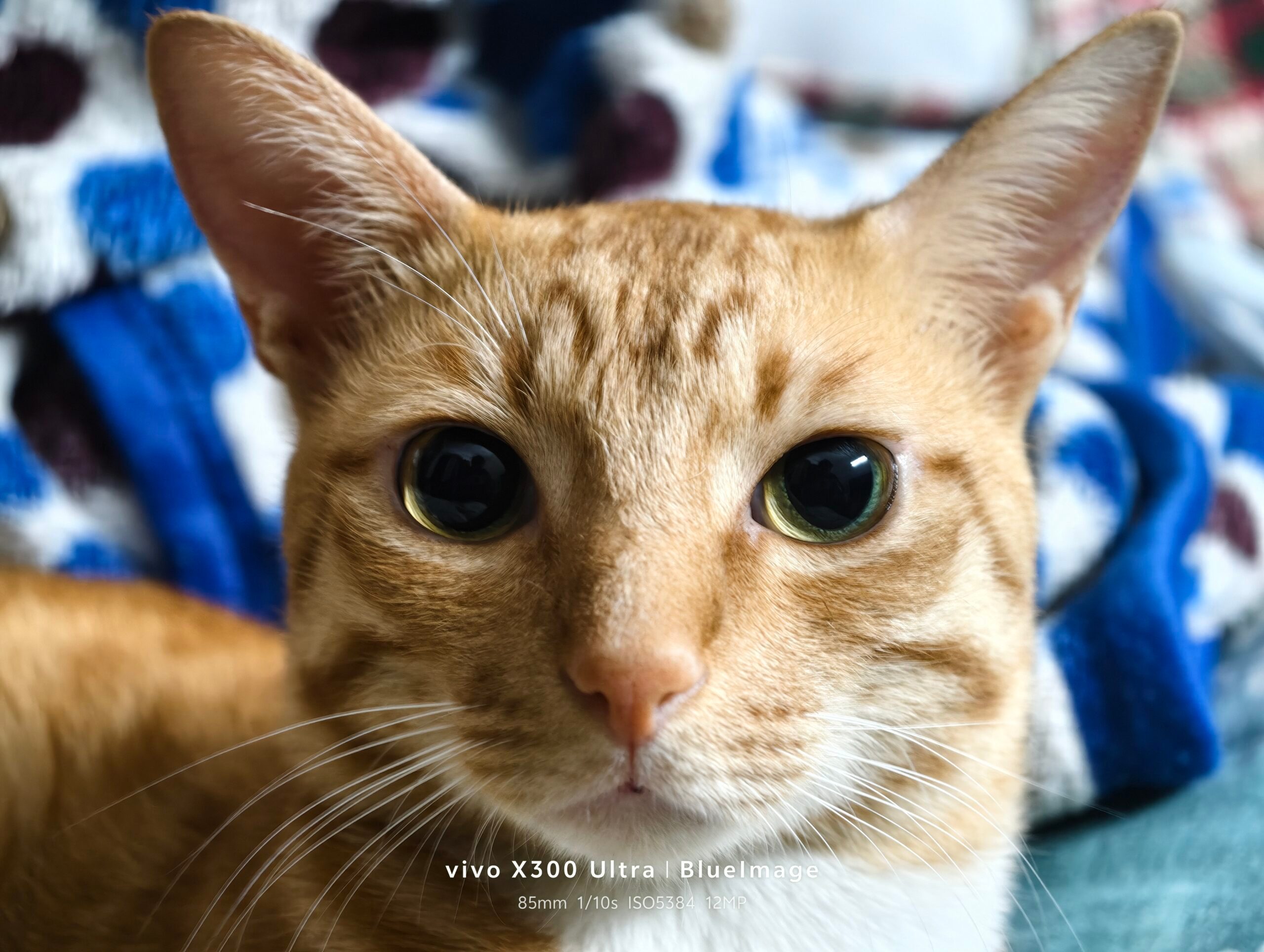Exemples d'appareils photo Vivo X300 Ultra