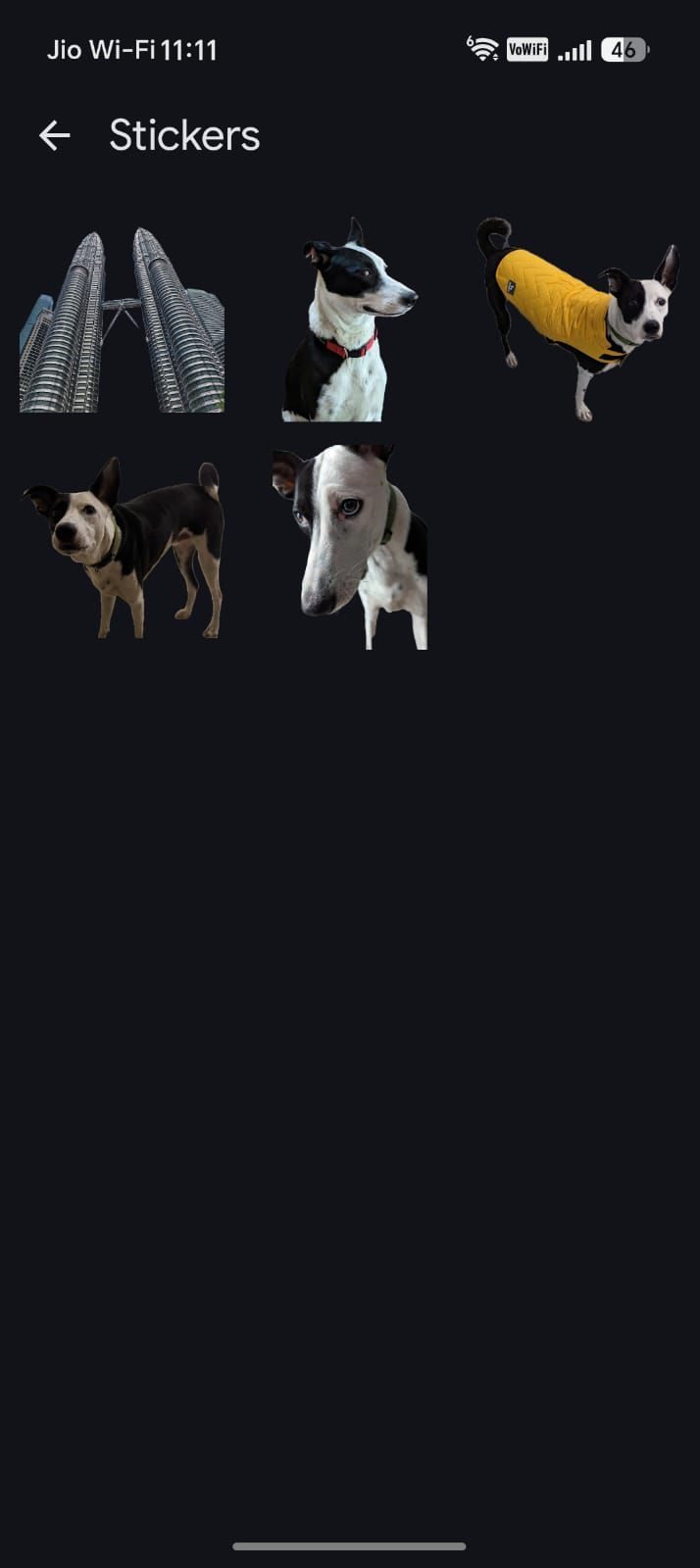 Animal, Canin, Chien
