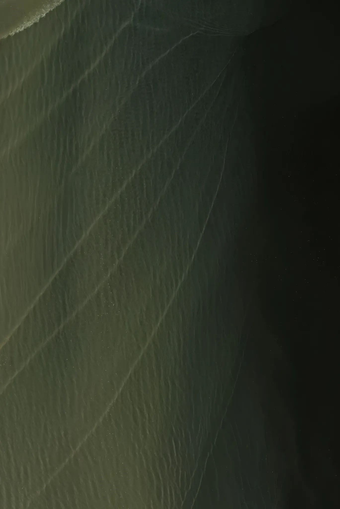 Fuite du fond d'écran du Pixel 11 vert