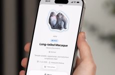 Et si Pokémon Go était la vraie vie ? Cette application vous permet d'enregistrer tous les animaux que vous voyez dans le monde réel