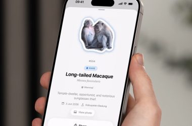 Et si Pokémon Go était la vraie vie ? Cette application vous permet d'enregistrer tous les animaux que vous voyez dans le monde réel