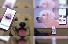 La technologie pour animaux de compagnie de Samsung n'a besoin que d'une image pour détecter les problèmes de santé qui nuisent à vos amis à quatre pattes