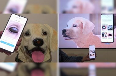 La technologie pour animaux de compagnie de Samsung n'a besoin que d'une image pour détecter les problèmes de santé qui nuisent à vos amis à quatre pattes