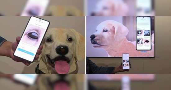La technologie pour animaux de compagnie de Samsung n'a besoin que d'une image pour détecter les problèmes de santé qui nuisent à vos amis à quatre pattes