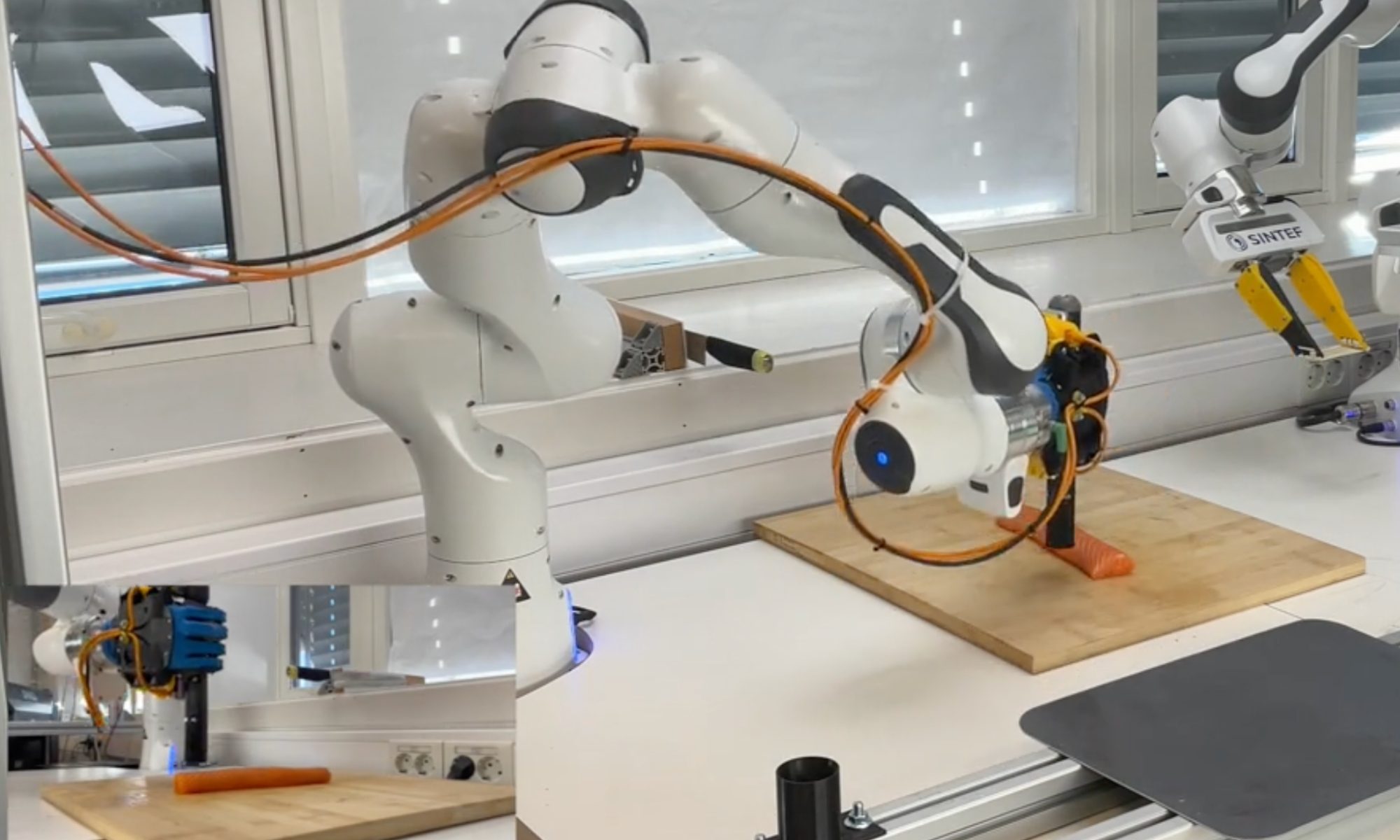 Robot, Laboratoire