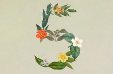 Le Sonnet 5 de Claude est conçu pour faire plus tout seul et vous coûte moins cher