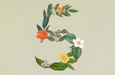 Le Sonnet 5 de Claude est conçu pour faire plus tout seul et vous coûte moins cher