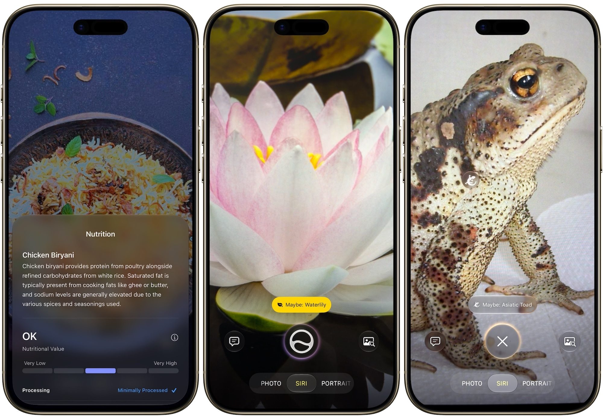 Utiliser Siri AI pour identifier les fleurs et les animaux