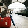 Les générateurs d’images IA ont échappé aux doigts du cauchemar et sont entrés dans l’ère du faux premium