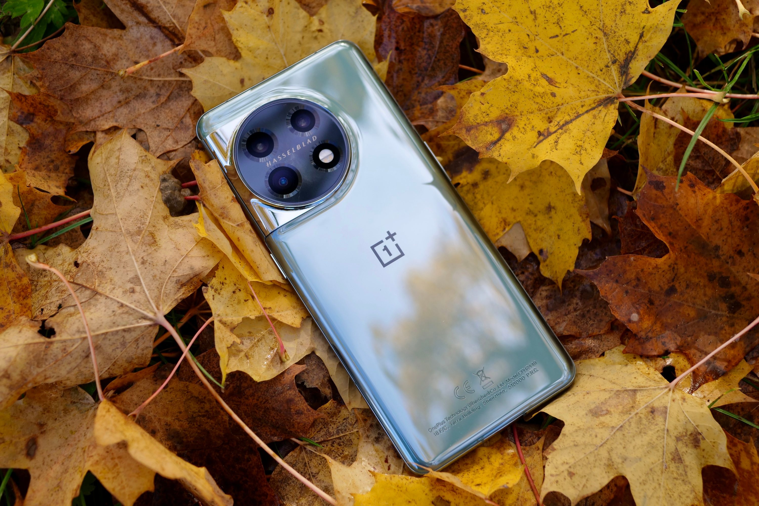 Le OnePlus 11 sur certaines feuilles, montrant le panneau arrière.