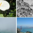 L'application appareil photo Project Indigo d'Adobe peut désormais éditer et critiquer vos photos avec l'IA