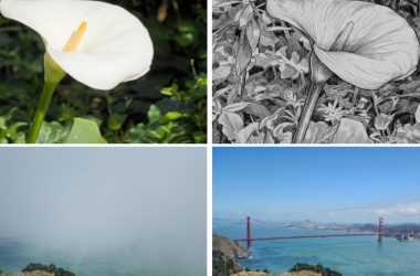 L'application appareil photo Project Indigo d'Adobe peut désormais éditer et critiquer vos photos avec l'IA