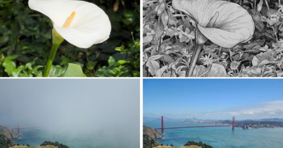 L'application appareil photo Project Indigo d'Adobe peut désormais éditer et critiquer vos photos avec l'IA