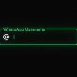WhatsApp précise que les noms d'utilisateur ne vous laisseront pas vulnérables aux escrocs